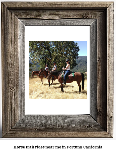 horse trail rides near me in Fortuna, California